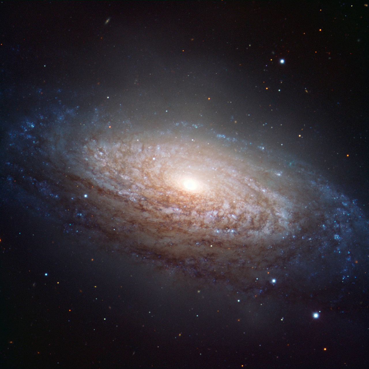 New Kind of Dark Matter Could Form 'Dark Atoms'